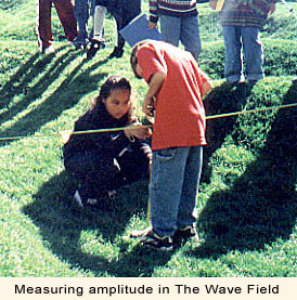 Measuring amplitude in The Wave Field